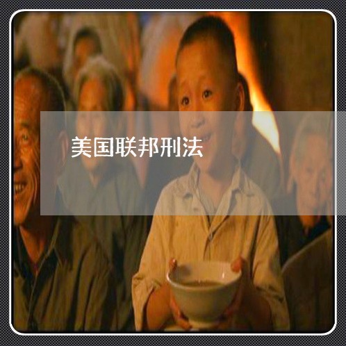 美国联邦刑法 美国联邦刑法