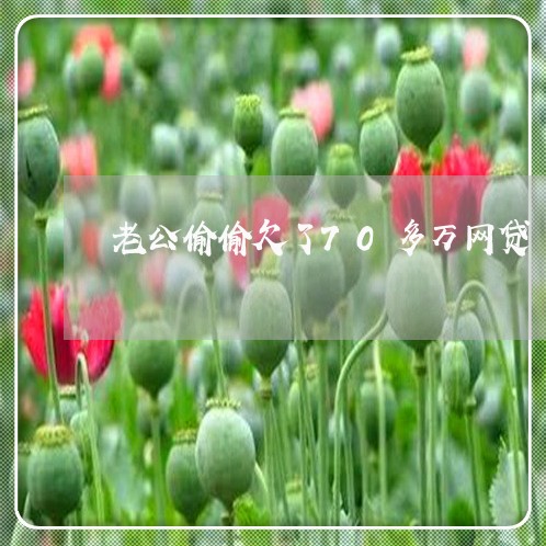 老公偷偷欠了70多万网贷 老公偷偷欠了70多万网贷