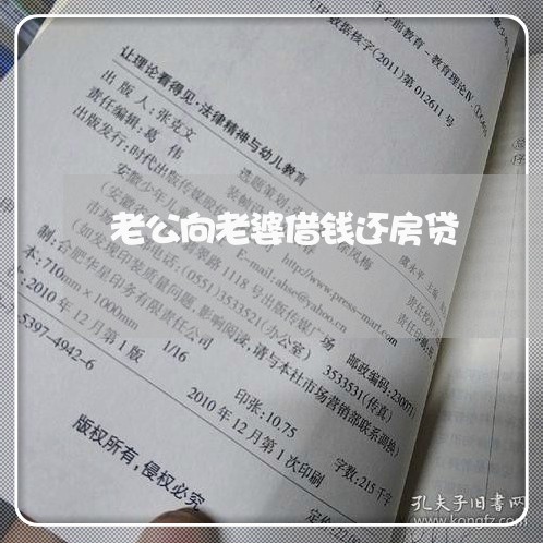 老公向老婆借钱还房贷/2023041681524