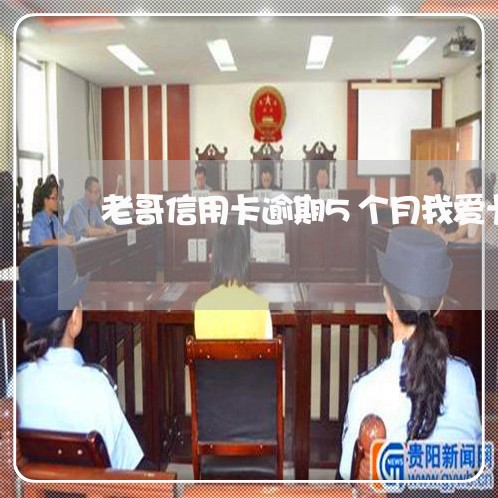老哥信用卡逾期5个月我爱卡