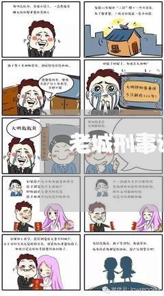 老城刑事诉讼律师事务所/2023060849570