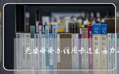 老婆偷偷办信用卡透支无力还款 老婆偷偷办信用卡透支无力还款
