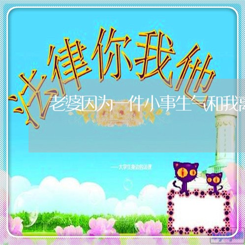 老婆因为一件小事生气和我离婚