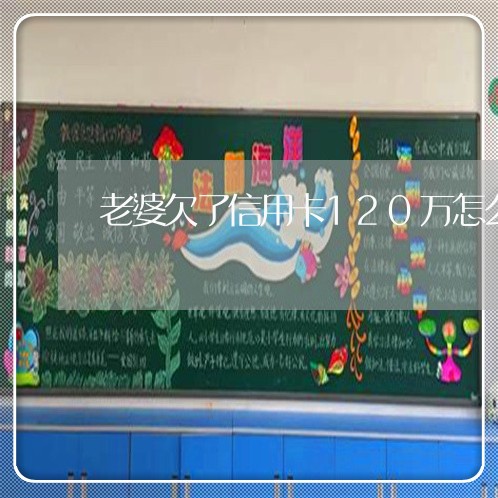 老婆欠了信用卡120万怎么办