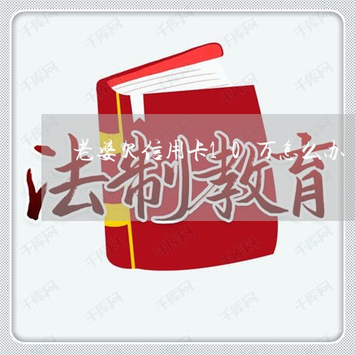 老婆欠信用卡10万怎么办 老婆欠信用卡10万怎么办