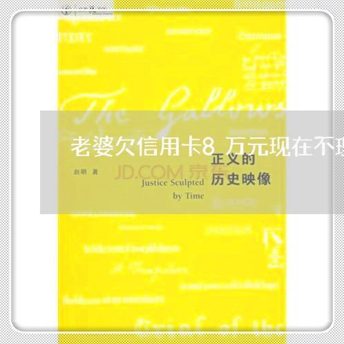 老婆欠信用卡8万元现在不理我了