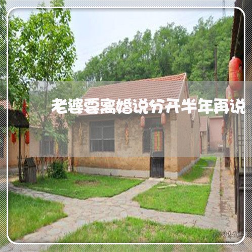 老婆要离婚说分开半年再说 老婆要离婚说分开半年再说