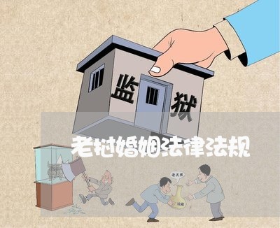 老挝婚姻法律法规