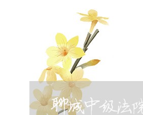 聊城中级法院胡朝勋