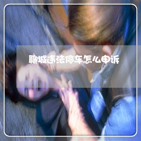 聊城违法停车怎么申诉