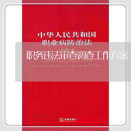 职务违法审查调查工作方案