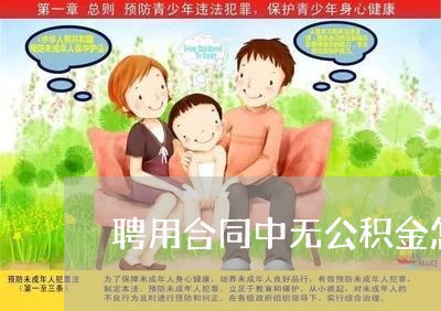 聘用合同中无公积金怎么写/2023022729262
