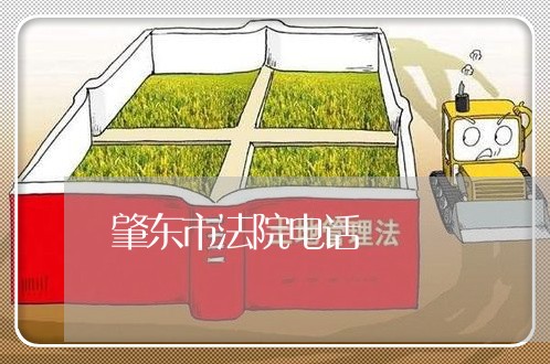 肇东市法院电话 肇东市法院电话