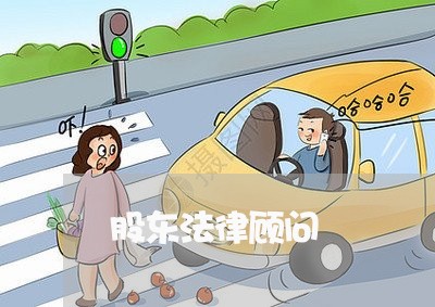股东法律顾问 股东法律顾问