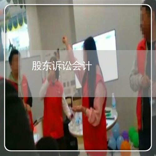 股东诉讼会计