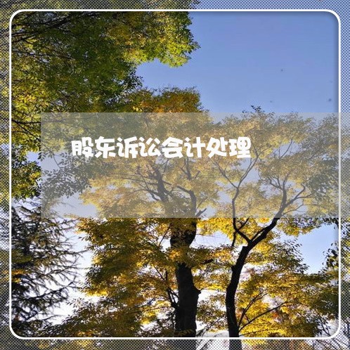 股东诉讼会计处理