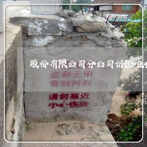 股份有限公司分公司诉讼地位 股份有限公司分公司诉讼地位