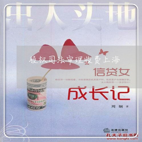 股权司法审理收费上海 股权司法审理收费上海