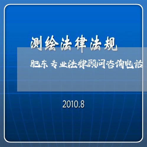 肥东专业法律顾问咨询电话/2023061849450