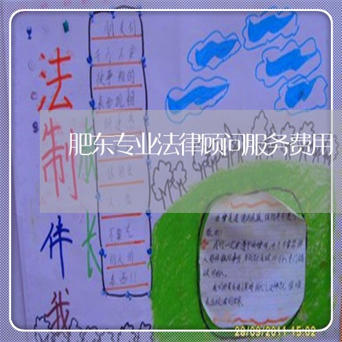 肥东专业法律顾问服务费用/2023061907061 肥东专业法律顾问服务费用/2023061907061