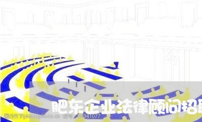 肥东企业法律顾问招聘信息/2023061850503 肥东企业法律顾问招聘信息/2023061850503