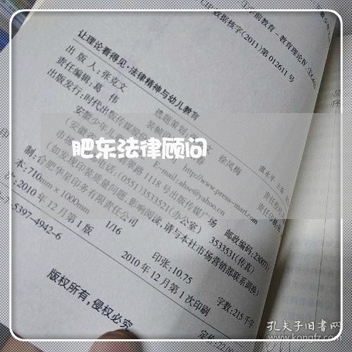 肥东法律顾问