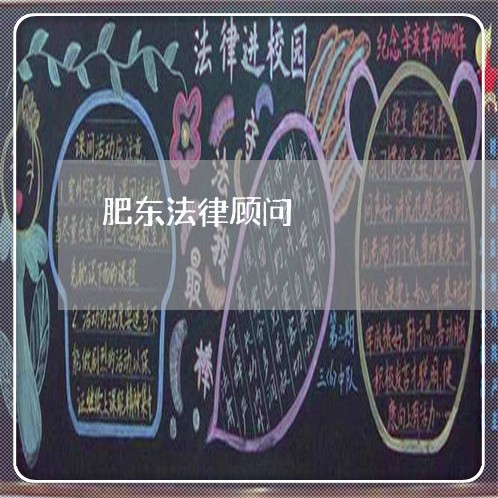 肥东法律顾问/2023061671783