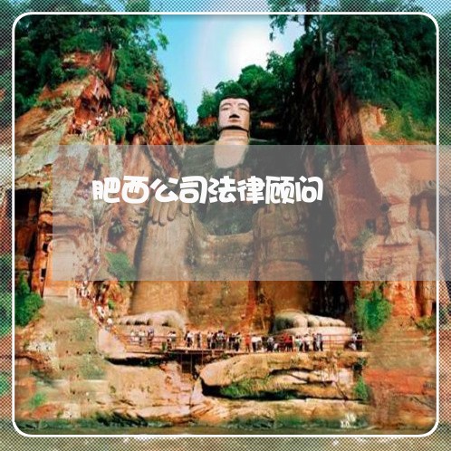 肥西公司法律顾问/2023061952745 肥西公司法律顾问/2023061952745