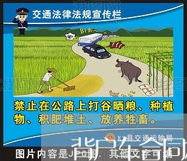 背户车合同怎么写保险/2023041097148