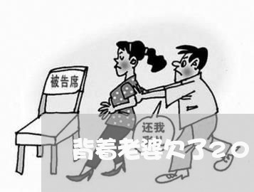 背着老婆欠了20万网贷