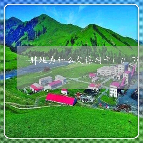 胖姐为什么欠信用卡10万 胖姐为什么欠信用卡10万
