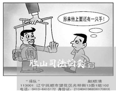 胜山司法拍卖