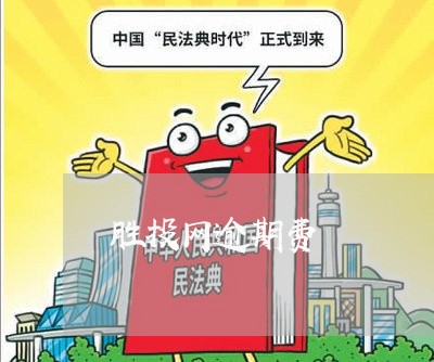 胜投网逾期费