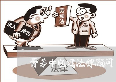 胥芳中电建法律顾问/2023061962504