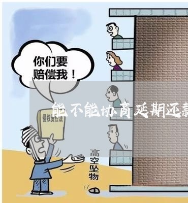 能不能协商延期还款/2023110896450