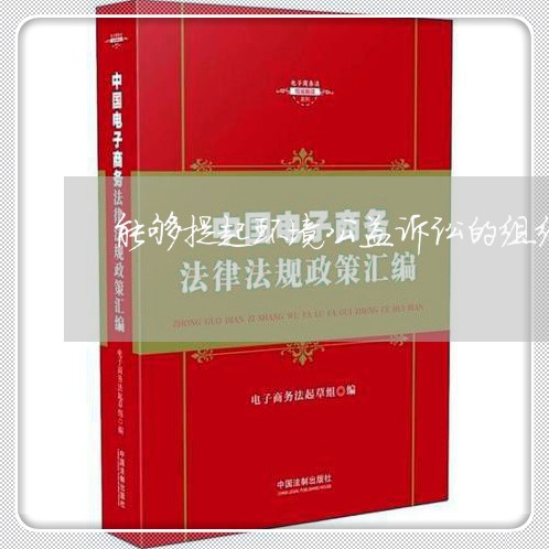 能够提起环境公益诉讼的组织