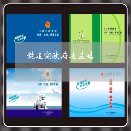 能追究政府违法吗 能追究政府违法吗