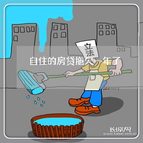 自住的房贷拖欠一年了/2023041616037