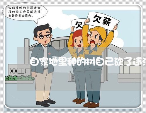 自家地里种的树自己砍了违法吗