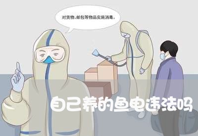 自己养的鱼电违法吗 自己养的鱼电违法吗