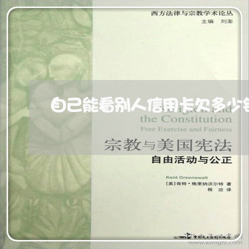 自己能看别人信用卡欠多少钱吗 自己能看别人信用卡欠多少钱吗