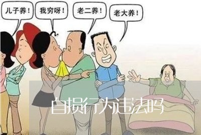 自损行为违法吗