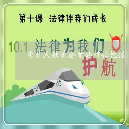 自然人独资企业的诉讼地位