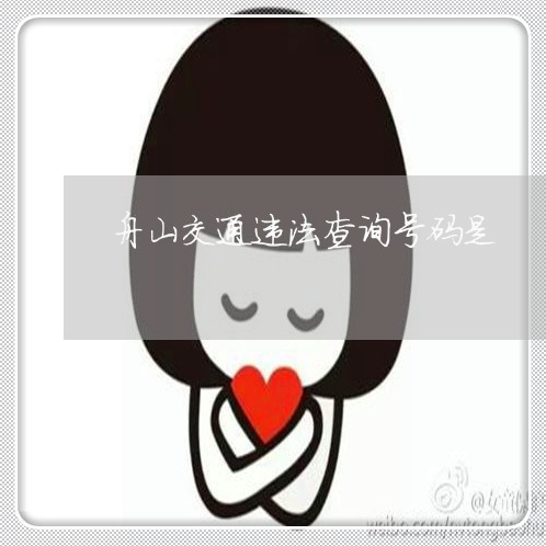 舟山交通违法查询号码是 舟山交通违法查询号码是