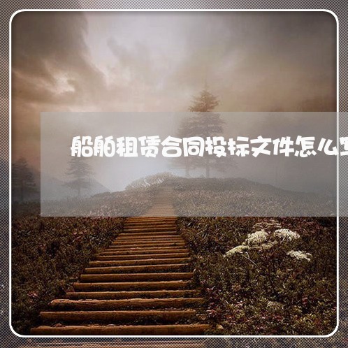 船舶租赁合同投标文件怎么写/2023040348492