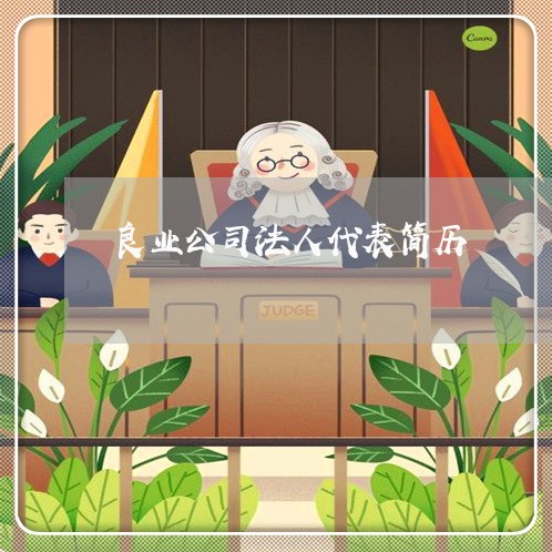 良业公司法人代表简历 良业公司法人代表简历