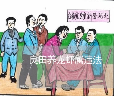 良田养龙虾属违法 良田养龙虾属违法