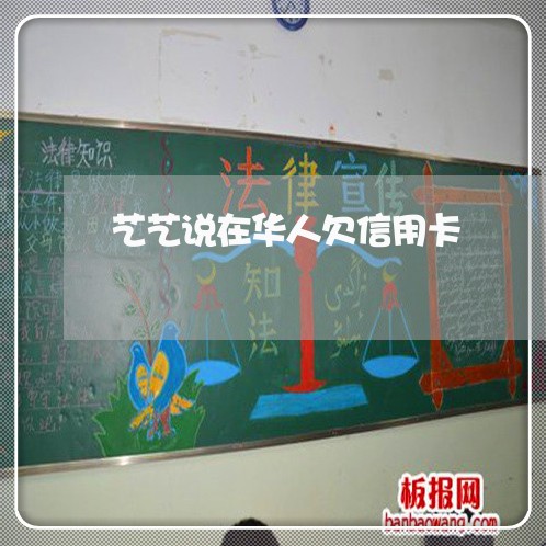 艺艺说在华人欠信用卡