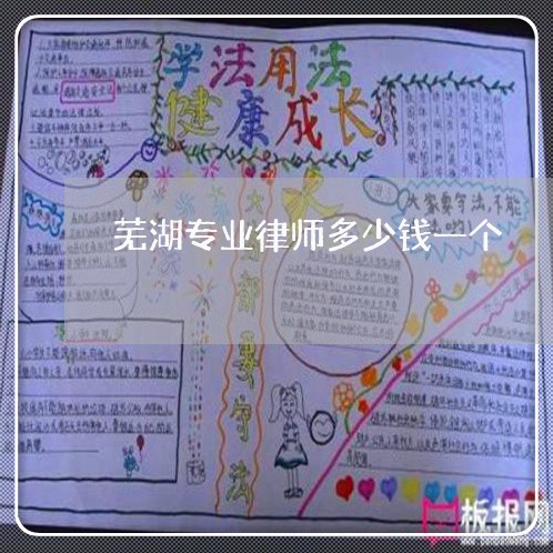 芜湖专业律师多少钱一个
