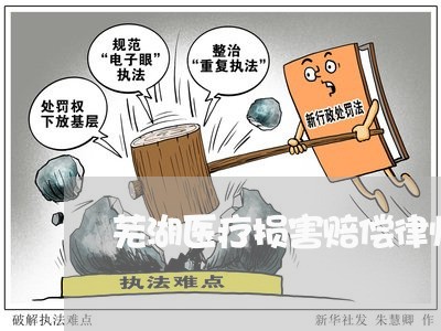 芜湖医疗损害赔偿律师咨询